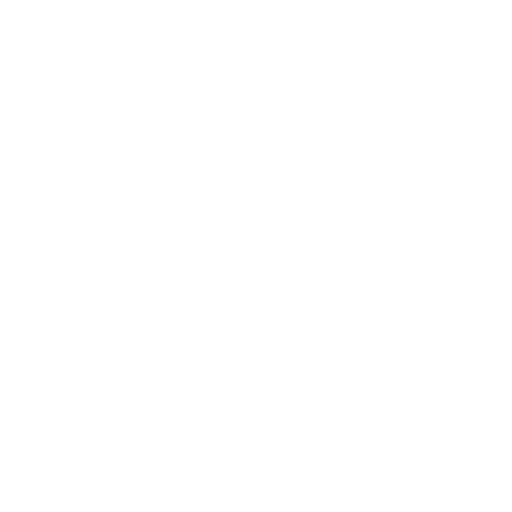 conveyor belt with rollers